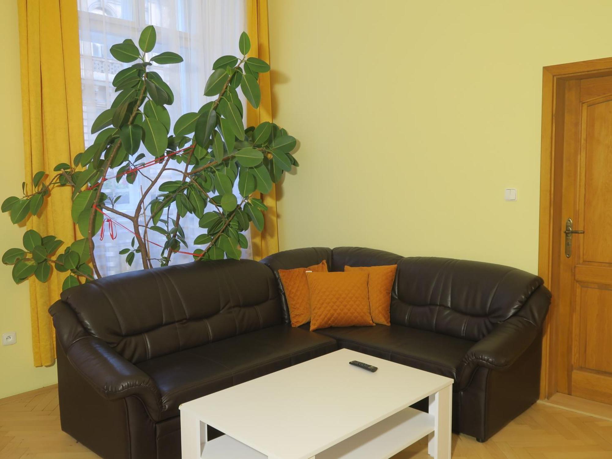 Apartment Near Lesser Town Prague